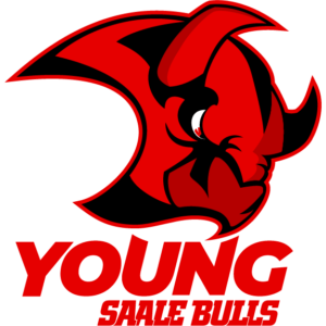 Logo Saale